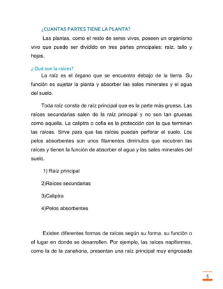 Trabajo final la fotosintesis