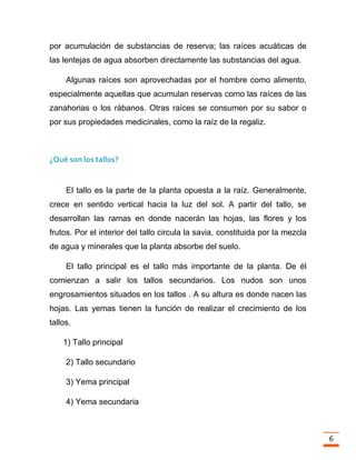 Trabajo final la fotosintesis