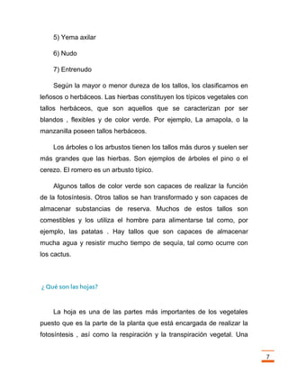 Trabajo final la fotosintesis