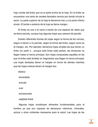 Trabajo final la fotosintesis