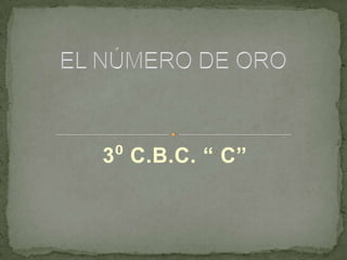 3⁰ C.B.C. “ C”
 