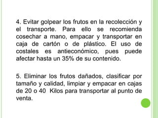 4. Evitar golpear los frutos en la recolección y
el transporte. Para ello se recomienda
cosechar a mano, empacar y transportar en
caja de cartón o de plástico. El uso de
costales es antieconómico, pues puede
afectar hasta un 35% de su contenido.
5. Eliminar los frutos dañados, clasificar por
tamaño y calidad, limpiar y empacar en cajas
de 20 o 40 Kilos para transportar al punto de
venta.
 