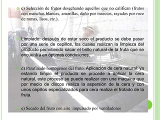  c) Selección de frutos desechando aquellos que no califican (frutos
con manchas blancas, amarillas, daño por insectos, rayados por roce
de ramas, lisos, etc.).
 Limpiado: después de estar seco el producto se debe pasar
por una serie de cepillos, los cuales realizan la limpieza del
producto permitiendo sacar el brillo natural de la fruta que se
encuentra en óptimas condiciones.
 d) Parafinado homogéneo del fruto. Aplicación de cera natural: ya
estando limpio el producto se procede a aplicar la cera
natural, este proceso se puede realizar con una maquina que
por medio de discos realiza la aspersión de la cera y con
unos cepillos especializados para cera realiza el frotado de la
fruta.
 e) Secado del fruto con aire impulsado por ventiladores
 