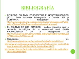  CÍTRICOS: CULTIVO, POSCOSECHA E INDUSTRIALIZACIÓN.
(2012). Serie Lasallista Investigación y Ciencia. 367 p.
CORPOICA. Recuperado de
http://www.corpoica.org.co/sitioweb/Archivos/Publicaciones/Public
acion-CitricosCultivoPoscosechaeIndustrializacion.pdf
 EL CULTIVO DE LOS CITRICOS: modulo educativo para el
desarrollo tecnológico de la comunidad rural (2001).
PROHACIENDO. 29 p. Recuperado de
http://www.agronet.gov.co/www/docs_si2/El%20cultivo%20de%20l
os%20citricos%20Limon.pdf
 Recuperado de:
http://www.sabelotodo.org/agricultura/frutales/limontahiti.html
http://www.viverotierranegra.com/index.php?option=com_content&vie
w=article&id=60:tahiti&catid=34:frutales&Itemid=57
http://www.oirsa.org/aplicaciones/subidoarchivos/bibliotecavirtual/ma
nuallimonpersico.pdf
 