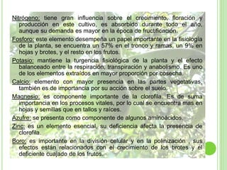 Nitrógeno: tiene gran influencia sobre el crecimiento, floración y
producción en este cultivo, es absorbido durante todo el año,
aunque su demanda es mayor en la época de fructificación.
Fosforo: este elemento desempeña un papel importante en la fisiología
de la planta, se encuentra un 57% en el tronco y ramas, un 9% en
hojas y brotes, y el resto en los frutos.
Potasio: mantiene la turgencia fisiológica de la planta y el efecto
balanceado entre la respiración, transpiración y anabolismo. Es uno
de los elementos extraídos en mayor proporción por cosecha.
Calcio: elemento con mayor presencia en las partes vegetativas,
también es de importancia por su acción sobre el suelo.
Magnesio: es componente importante de la clorofila. Es de suma
importancia en los procesos vitales, por lo cual se encuentra mas en
hojas y semillas que en tallos y raíces.
Azufre: se presenta como componente de algunos aminoácidos.
Zinc: es un elemento esencial, su deficiencia afecta la presencia de
clorofila.
Boro: es importante en la división celular y en la polinización , sus
efectos están relacionados con el crecimiento de los brotes y el
deficiente cuajado de los frutos.
 