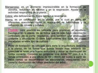 Manganeso: es un elemento imprescindible en la formación de
clorofila, reducción de nitratos y en la respiración. Ayuda en la
actividad respiratoria de la planta.
Cobre: alta deficiencia los frutos tienden a reventarse.
Hierro: es un catalizador en la planta, por lo cual es clave en
diferentes reacciones como la respiración, la fotosíntesis y la
reducción de nitratos y sulfatos.
 Podas: esta practica es utilizada para promover el equilibrio
fisiológico en la planta, de tal forma que no solo haya crecimiento
controlado de la parte vegetativa, sino también una producción
uniforme y abundante. Existen básicamente dos tipos de podas
manejadas en este tipo de cultivos:
1. Poda de formación: es utilizada para darle la arquitectura deseada
a la planta, de tal forma que pueda resistir mas adelante las
cosechas al tener una buena estructura y estas se distribuyan de
forma correcta. Consiste en propiciar una doble “Y” con 3 a 5
ramas principales a una altura de 60 – 80cm del suelo, a partir de
estas ramas se desarrollaran las secundarias, asegurando una
correcta distribución del follaje alrededor del árbol.
 