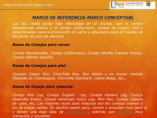 Las dos razas puras más difundidas en el mundo, son el conejo
Neozelandés blanco y el conejo Californiano, ambas de origen USA y
seleccionadas para la producción de carne y adaptados para el manejo de
las jaulas de piso de alambre.
Razas de Conejos para carne:
Conejo Neozelandés, Conejo Californiano, Conejo Híbrido Francés Hyplus,
Conejo Híbrido Español.
Razas de Conejos para piel:
Conejos Castor Rex, Chinchilla Rex, Rex Albino y en menor medida
Plateado de Champagne, Chinchilla Standard, Liebre Belga, etc...
Razas de Conejo para mascota:
Conejo Mini Lop, Conejo English Lop, Conejo Holland Lop, Conejo
Holandés Enano, Conejo American Fuzzy Lop, Mini Rex, Conejo Cabeza
de León, etc. Las mejores razas para mascota son los conejos enanos y
los de orejas caídas. En adultos pesan poco, comen y ensucian muy poco
y tienen una baja tasa de reproducción, además son animales muy
tranquilos y sociables.
DISEÑO DE PROYECTOS-TRABAJO FINAL
6
 