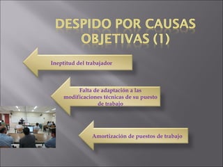Ineptitud del trabajador Falta de adaptación a las modificaciones técnicas de su puesto de trabajo Amortización de puestos de trabajo 