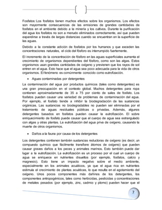Fosfatos: Los fosfatos tienen muchos efectos sobre los organismos. Los efectos
son mayormente consecuencias de las emisiones de grandes cantidades de
fosfatos en el ambiente debido a la minería y los cultivos. Durante la purificación
del agua los fosfatos no son a menudo eliminados correctamente, así que pueden
expandirse a través de largas distancias cuando se encuentran en la superficie de
las aguas.
Debido a la constante adición de fosfatos por los humanos y que exceden las
concentraciones naturales, el ciclo del fósforo es interrumpido fuertemente.
El incremento de la concentración de fósforo en las aguas superficiales aumenta el
crecimiento de organismos dependientes del fósforo, como son las algas. Estos
organismos usan grandes cantidades de oxígeno y previenen que los rayos de sol
entren en el agua. Esto hace que el agua sea poco adecuada para la vida de otros
organismos. El fenómeno es comúnmente conocido como eutrofización.
 Aguas contaminadas por detergentes
La contaminación del agua por productos químicos (tales como detergentes) es
una gran preocupación en el contexto global. Muchos detergentes para ropa
contienen aproximadamente de 35 a 75 por ciento de sales de fosfato. Los
fosfatos pueden causar una variedad de problemas de contaminación del agua.
Por ejemplo, el fosfato tiende a inhibir la biodegradación de las sustancias
orgánicas. Las sustancias no biodegradables no pueden ser eliminadas por el
tratamiento de aguas residuales públicas o privadas. Además, algunos
detergentes basados en fosfatos pueden causar la eutrofización. El sobre
enriquecimiento de fosfato puede causar que el cuerpo de agua sea estrangulado
con algas y otras plantas. La eutrofización del agua priva de oxígeno, causando la
muerte de otros organismos.
 Daños a la fauna por causa de los detergentes
Los detergentes contienen también sustancias reductoras de oxígeno (es decir, un
compuesto químico que fácilmente transfiere átomos de oxígeno) que pueden
causar graves daños a los peces y animales marinos. Esto también puede dar
lugar a la eutrofización. La eutrofización es un proceso por el cual un cuerpo de
agua se enriquece en nutrientes disueltos (por ejemplo, fosfatos, calcio y
magnesio). Esto tiene un impacto negativo sobre el medio ambiente,
especialmente en los animales acuáticos, ya que el agua rica en nutrientes
estimula el crecimiento de plantas acuáticas, lo que resulta en el agotamiento del
oxígeno. Unos pocos componentes más dañinos de los detergentes, los
componentes antropogénicos, tales como herbicidas, pesticidas y concentraciones
de metales pesados (por ejemplo, zinc, cadmio y plomo) pueden hacer que el
 