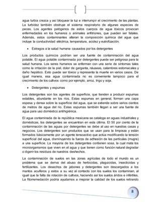 agua turbia crezca y así bloquear la luz e interrumpir el crecimiento de las plantas.
La turbidez también obstruye el sistema respiratorio de algunas especies de
peces. Los agentes patógenos de estos cuerpos de agua tóxicos provocan
enfermedades en los humanos o animales anfitriones, que pueden ser fatales.
Además, estos contaminantes alteran la composición química del agua que
incluye la conductividad eléctrica, temperatura, acidez y eutrofización.
 Estragos a la salud humana causados por los detergentes
Los productos químicos podrían ser una fuente de contaminación del agua
potable. El agua potable contaminada por detergentes puede ser peligrosa para la
salud humana. Los seres humanos se enferman con una serie de síntomas tales
como la irritación de la piel, dolor de garganta, náuseas, calambres estomacales y
daño hepático. Esto puede ser tóxico y representa la muerte en varios casos. De
igual manera, esa agua contaminada no es conveniente tampoco para el
crecimiento de los cultivos como por ejemplo, arroz, trigo y soja.
 Detergentes y espumas
Los detergentes son los agentes de superficie, que tienden a producir espumas
estables, abundante en los ríos. Estas espumas en general, forman una capa
espesa y densa sobre la superficie del agua, que se extiende sobre varios cientos
de metros de agua del río. Estas espumas también llegan a ser una fuente de
agua para uso doméstico antihigiénica.
El agua contaminada de la república mexicana se cataloga en aguas industriales y
domésticas, los detergentes se encuentran en esta última. El 50 por ciento de la
contaminación de las aguas por detergentes se debe al uso en nuestras casas y
negocios. Los detergentes son productos que se usan para la limpieza y están
formados básicamente por un agente tensoactivo que actúa modificando la tensión
superficial del agua, disminuyendo la fuerza de adhesión de las partículas (mugre)
a una superficie. La mayoría de los detergentes contienen sosa, la cual mata los
microorganismos que viven en el agua y que tienen como función natural degradar
o digerir los residuos de nuestros deshechos.
La contaminación de suelos en las zonas agrícolas de todo el mundo es un
problema que se deriva del abuso de herbicidas, plaguicidas, insecticidas y
fertilizantes. Los desechos de jabones y detergentes son descargados a los
mantos acuíferos y estos a su vez al contacto con los suelos los contaminan, al
igual que la falta de rotación de cultivos, haciendo así los suelos áridos e infértiles.
La fitorremedación podría ayudarnos a mejorar la calidad de los suelos retirando
 