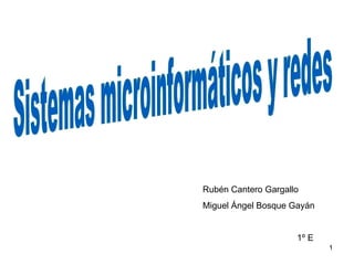 Sistemas microinformáticos y redes Rubén Cantero Gargallo Miguel Ángel Bosque Gayán 1º E 