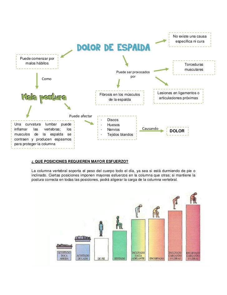 Los dolores en lo bajo del vientre son dados en los riñones que por esto