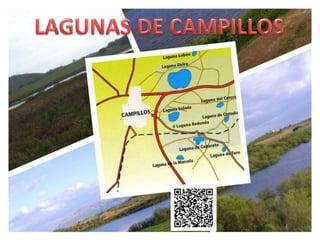 Lagunas de Campillos