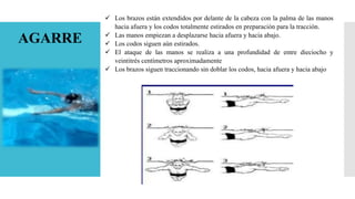AGARRE
 Los brazos están extendidos por delante de la cabeza con la palma de las manos
hacia afuera y los codos totalmente estirados en preparación para la tracción.
 Las manos empiezan a desplazarse hacia afuera y hacia abajo.
 Los codos siguen aún estirados.
 El ataque de las manos se realiza a una profundidad de entre dieciocho y
veintitrés centímetros aproximadamente
 Los brazos siguen traccionando sin doblar los codos, hacia afuera y hacia abajo
 