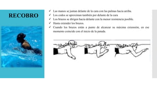 RECOBRO
 Las manos se juntan delante de la cara con las palmas hacia arriba.
 Los codos se aproximan también por delante de la cara
 Los brazos se dirigen hacia delante con la menor resistencia posible.
 Hasta extender los brazos.
 Cuando los brazos están a punto de alcanzar su máxima extensión, en ese
momento coincide con el inicio de la patada.
 
