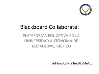 Blackboard Collaborate:
PLATAFORMA EDUCATIVA EN LA
UNIVERSIDAD AUTÓNOMA DE
TAMAULIPAS, MÉXICO
Adriana Leticia Treviño Muñoz
 