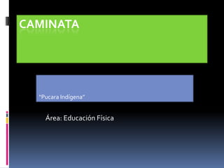 CAMINATA




  “Pucara Indígena”


    Área: Educación Física
 