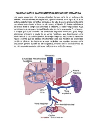 FLUJO SANGUÍNEO GASTROINTESTINAL: CIRCULACIÓN ESPLÁCNICA
Los vasos sanguíneos del aparato digestivo forman parte de un sistema más
extenso, llamado circulación esplácnica, que se muestra en la figura 63-6. Este
sistema está formado por el flujo sanguíneo del tubo digestivo propiamente dicho
más el correspondiente al bazo, al páncreas y al hígado. El diseño del sistema
es tal que toda la sangre que atraviesa el intestino, el bazo y el páncreas fluye
inmediatamente después hacia el hígado a través de la vena porta. En el hígado,
la sangre pasa por millones de sinusoides hepáticos diminutos, para luego
abandonar el órgano a través de las venas hepáticas, que desembocan en la
vena cava de la circulación general. Este flujo sanguíneo secundario a través del
hígado permite que las células reticuloendoteliales que revisten los sinusoides
hepáticos eliminen las bacterias y otras partículas que podrían penetrar en la
circulación general a partir del tubo digestivo, evitando así el acceso directo de
los microorganismos potencialmente peligrosos al resto del cuerpo.
 