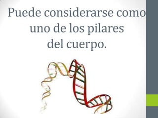 Puede considerarse como
   uno de los pilares
       del cuerpo.
 