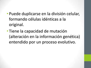 • Puede duplicarse en la división celular,
formando células idénticas a la
original.
• Tiene la capacidad de mutación
(alteración en la información genética)
entendido por un proceso evolutivo.