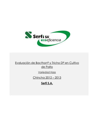 Evaluación de Bacthon® y Tricho D® en Cultivo
de Palto
Variedad Hass
Chincha 2012 – 2013
Serfi S.A.
 