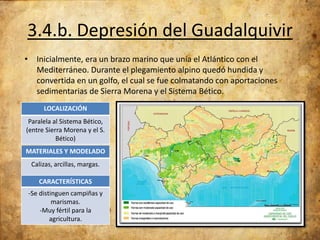 3.4.b. Depresión del Guadalquivir
• Inicialmente, era un brazo marino que unía el Atlántico con el
Mediterráneo. Durante el plegamiento alpino quedó hundida y
convertida en un golfo, el cual se fue colmatando con aportaciones
sedimentarias de Sierra Morena y el Sistema Bético.
LOCALIZACIÓN
Paralela al Sistema Bético,
(entre Sierra Morena y el S.
Bético)
MATERIALES Y MODELADO
Calizas, arcillas, margas.
CARACTERÍSTICAS
-Se distinguen campiñas y
marismas.
-Muy fértil para la
agricultura.

 