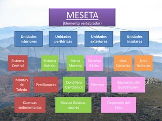 MESETA
(Elemento vertebrador)
Unidades
interiores

Sistema
Central

Montes
de
Toledo

Unidades
periféricas

Sistema
Ibérico

Sierra
Morena

Penillanuras

Cordillera
Cantábrica

Cuencas
sedimentarias

Macizo GalaicoLeonés

Unidades
exteriores

Sistema
Bético

Pirineos

Unidades
insulares

Islas
Canarias

Islas
Baleares

Depresión del
Guadalquivir

Depresión del
Ebro

 