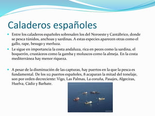 La actividad pesquera | PPTX