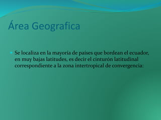 Área Geografica
Se localiza en la mayoría de países que bordean el ecuador,
en muy bajas latitudes, es decir el cinturón latitudinal
correspondiente a la zona intertropical de convergencia: