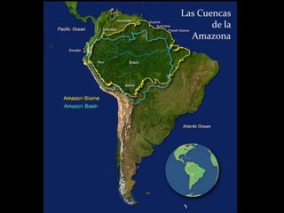 Las Cuencas
de la
Amazona