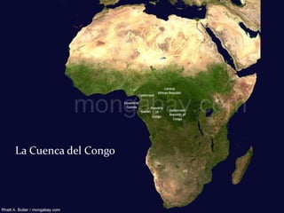 La Cuenca del Congo