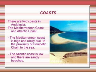 FAUNA The deer live in  Sierra the Cazorla. The foxes live in  the forest. 