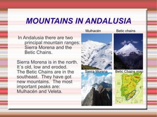 MOUNTAINS IN ANDALUSIA In Andalusia there are two principal mountain ranges: Sierra Morena and the Betic Chains. Sierra Morena is in the north. It´s old, low and eroded.  