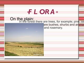 PHOTOS BETIC CHAINS SUBBETIC RANGES 