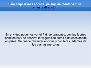 - Precipitaciones abundantes y regulares (más de 800 mm anuales)
