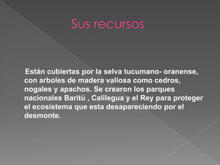 Están cubiertas por la selva tucumano- oranense,
con arboles de madera valiosa como cedros,
nogales y apachos. Se crearon los parques
nacionales Baritù , Calilegua y el Rey para proteger
el ecosistema que esta desapareciendo por el
desmonte.

 
