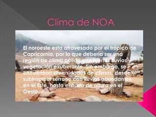 El noroeste esta atravesado por el trópico de
Capricornio, por lo que debería ser una
región de clima cálido con fuertes lluvias y
vegetación exuberante. Sin embargo, se
encuentran diversidades de climas, desde el
subtropical serrano con lluvias abundantes
en el Este, hasta el árido de altura en el
Oeste.

 