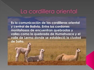 Es la comunicación de las cordilleras oriental
y central de Bolivia. Entre los cordones
montañosos de encuentran quebradas y
valles como la quebrada de Humahuaca y el
valle de Lerma donde se estableció la ciudad
de Salta.

 
