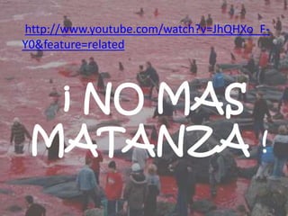 http://www.youtube.com/watch?v=JhQHXo_F-
Y0&feature=related



  ¡ NO MAS
 MATANZA !
 