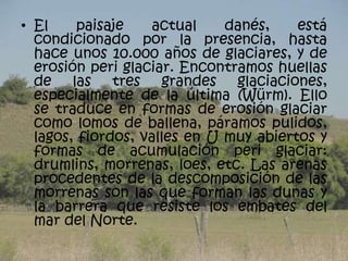 • El     paisaje    actual    danés,    está
  condicionado por la presencia, hasta
  hace unos 10.000 años de glaciares, y de
  erosión peri glaciar. Encontramos huellas
  de las tres grandes glaciaciones,
  especialmente de la última (Würm). Ello
  se traduce en formas de erosión glaciar
  como lomos de ballena, páramos pulidos,
  lagos, fiordos, valles en U muy abiertos y
  formas de acumulación peri glaciar:
  drumlins, morrenas, loes, etc. Las arenas
  procedentes de la descomposición de las
  morrenas son las que forman las dunas y
  la barrera que resiste los embates del
  mar del Norte.
 
