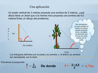 Un poste vertical de 3 metros proyecta una sombra de 2 metros; ¿qué
altura tiene un árbol que a la misma hora proyecta una sombra de 4,5
metros?(Haz un dibujo del problema).
Una aplicación
4,5m
x
3m
2m sombra
p
o
s
t
e
Los triángulos definidos por el poste y su sombra y el árbol y su sombra
son semejantes, por lo tanto
De donde = 6,75m
Son semejantes
por que cumplen el
criterio AA, tienen
iguales el ángulo
recto y el ángulo
de elevación que
forman los rayos
solares con el
suelo
=3
x
2
4,5
X = 3 • 4,5
2
Formamos la proporción
 
