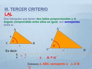 Dos triángulos que tienen dos lados proporcionales y el
ángulo comprendido entre ellos es igual, son semejantes
entre sí.
A´
B´C’
A
BC
Es decir:
a
a´
a
a´ =
c
c´
c
c´
y α = α´
α
α´
Entonces ∆ ABC semejante a ∆ A´B
´C´
 