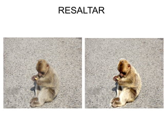 RESALTAR




         
 