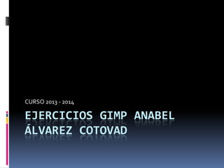 EJERCICIOS GIMP ANABEL
ÁLVAREZ COTOVAD
CURSO 2013 - 2014
 