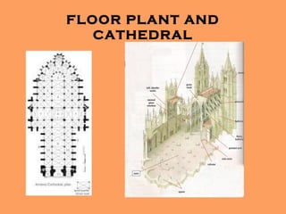 FLOOR PLANT AND
   CATHEDRAL
 