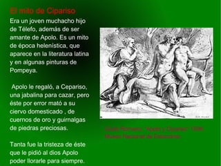   
El mito de Cipariso
Giulio Romano, “Apolo y Cipariso” 1596.
Museo Nacional de Estocolmo.
Era un joven muchacho hijo
de Télefo, además de ser
amante de Apolo. Es un mito
de época helenística, que
aparece en la literatura latina
y en algunas pinturas de
Pompeya.
Apolo le regaló, a Cepariso,
una jabalina para cazar, pero
éste por error mató a su
ciervo domesticado , de
cuernos de oro y guirnalgas
de piedras preciosas.
Tanta fue la tristeza de éste
que le pidió al dios Apolo
poder llorarle para siempre.
 