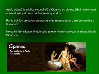    
Apolo aceptó la súplica y conviritió a Cipariso en ciprés, árbol relacionado
con el duelo y el dolor por los seres queridos.
Por la opinión de varios autores, el mito representa el paso de la niñez a
la madurez.
No se ha identificado ningún culto griego relacionado con la adoración de
Ciparisos.
 