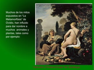    
“Vertumno y Pomona”(Cesar Van Everdinge)
Muchos de los mitos
expuestos en “La
Metamorfósis” de
Ovidio, han influido
para dar nombre a
muchos animales y
plantas, tales como
por ejemplo:
 
