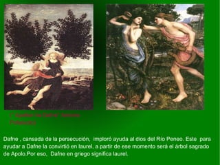    
Dafne , cansada de la persecución, imploró ayuda al dios del Río Peneo. Este para
ayudar a Dafne la convirtió en laurel, a partir de ese momento será el árbol sagrado
de Apolo.Por eso, Dafne en griego significa laurel.
(“ Apollon ha Dafne” Antonio
Pollaiuolo)
 