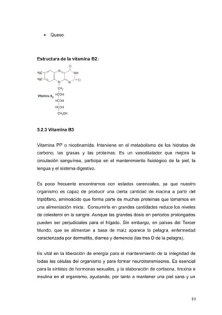 • Queso
Estructura de la vitamina B2:
5.2.3 Vitamina B3
Vitamina PP o nicotinamida. Interviene en el metabolismo de los hidratos de
carbono, las grasas y las proteínas. Es un vasodilatador que mejora la
circulación sanguínea, participa en el mantenimiento fisiológico de la piel, la
lengua y el sistema digestivo.
Es poco frecuente encontrarnos con estados carenciales, ya que nuestro
organismo es capaz de producir una cierta cantidad de niacina a partir del
triptófano, aminoácido que forma parte de muchas proteínas que tomamos en
una alimentación mixta. Consumirla en grandes cantidades reduce los niveles
de colesterol en la sangre. Aunque las grandes dosis en periodos prolongados
pueden ser perjudiciales para el hígado. Sin embargo, en países del Tercer
Mundo, que se alimentan a base de maíz aparece la pelagra, enfermedad
caracterizada por dermatitis, diarrea y demencia (las tres D de la pelagra).
Es vital en la liberación de energía para el mantenimiento de la integridad de
todas las células del organismo y para formar neurotransmisores. Es esencial
para la síntesis de hormonas sexuales, y la elaboración de cortisona, tiroxina e
insulina en el organismo, ayudando, por tanto a mantener una piel sana y un
19
 
